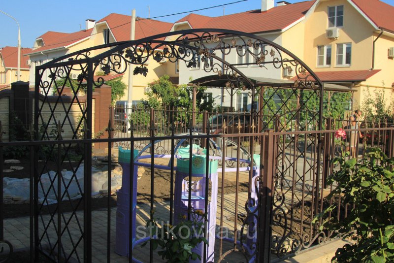 Камелия арка Садовая