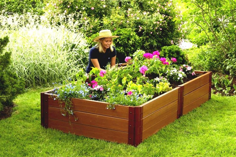 Garden Dreams грядки