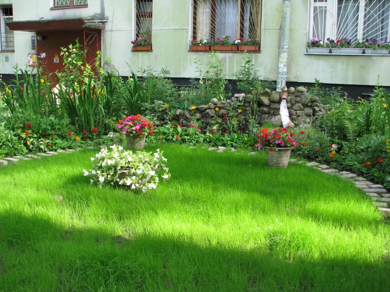 Красивые клумбы во дворе