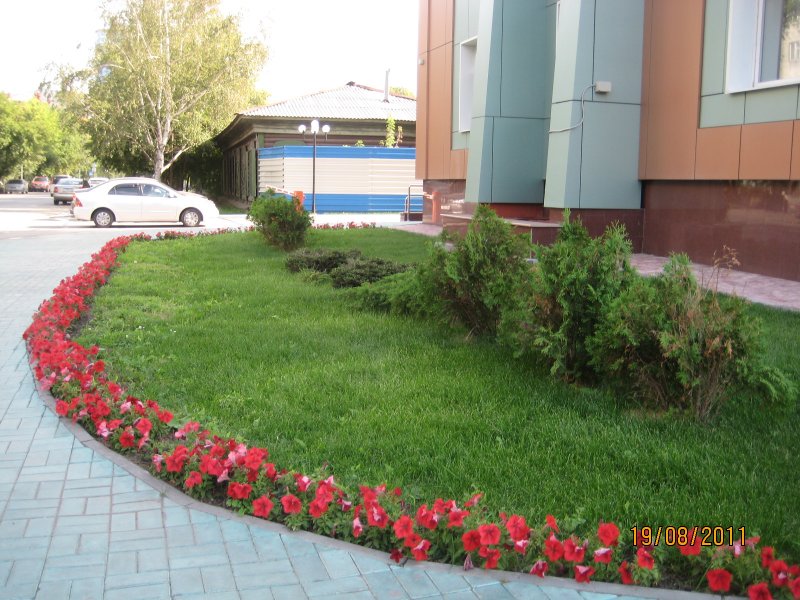 Клумбы во дворе многоэтажки