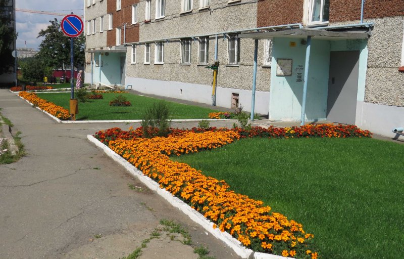 Зонирование и благоустройство дачного участка