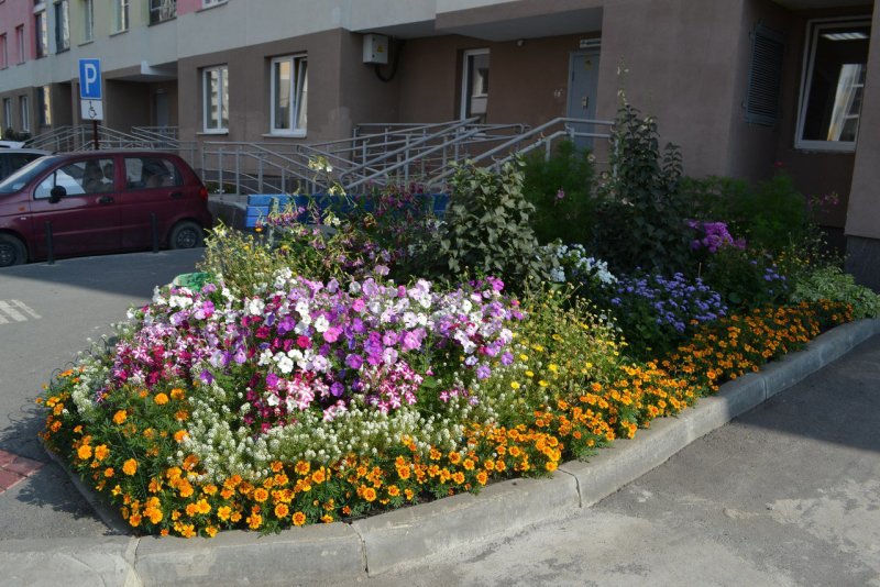 Красивые клумбы на даче