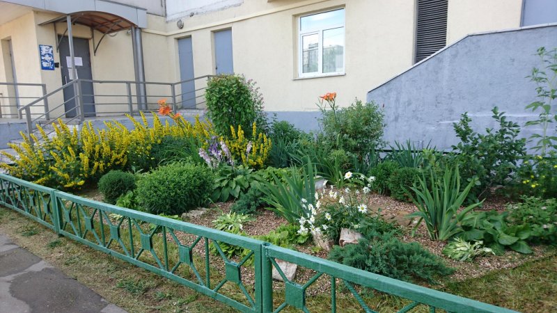 Клумбы для школьного двора
