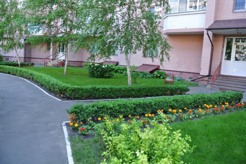 Красивые клумбы вокруг деревьев