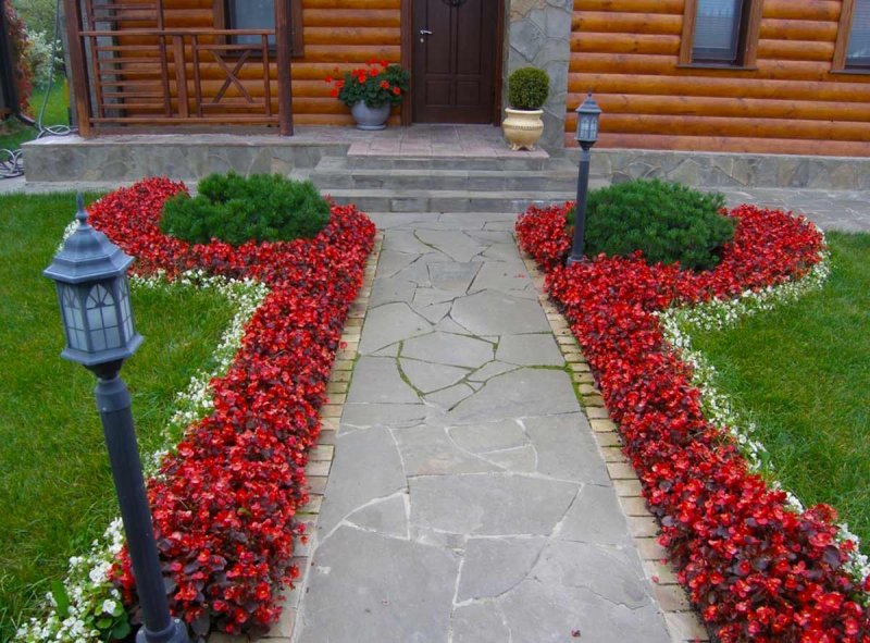Круглая клумба, рабатка.