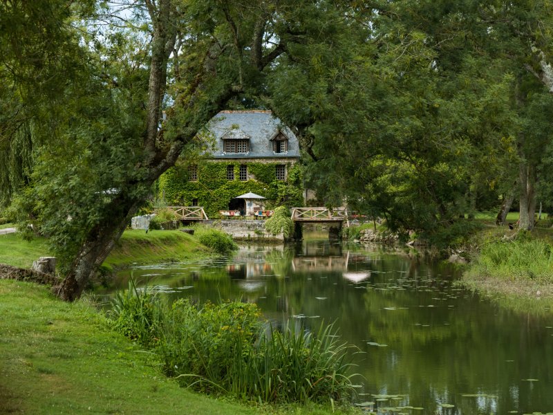 Azay-le-Rideau природа