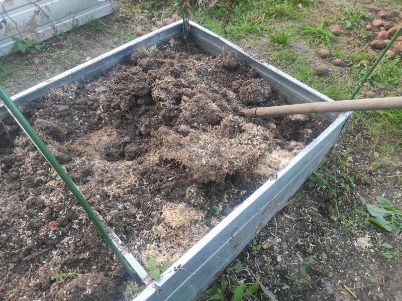 Картофель на высоких грядках