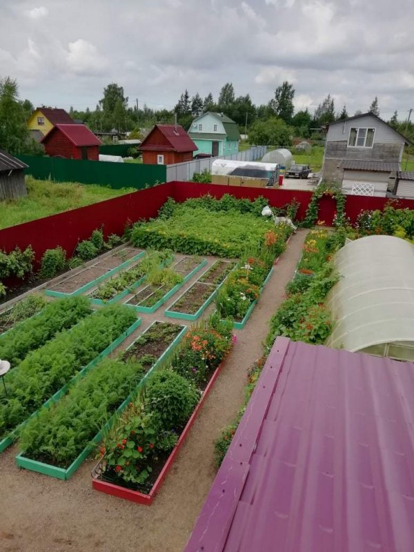 Грядки в огороде