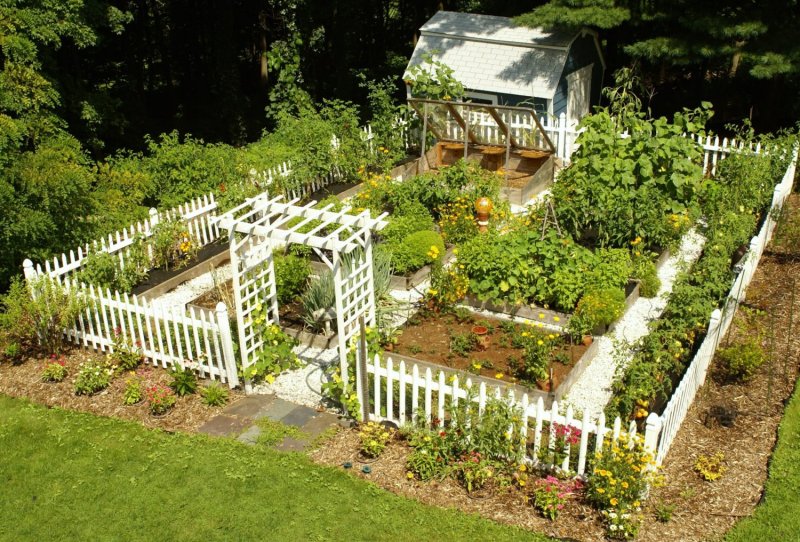 Garden with Vegetable Patches