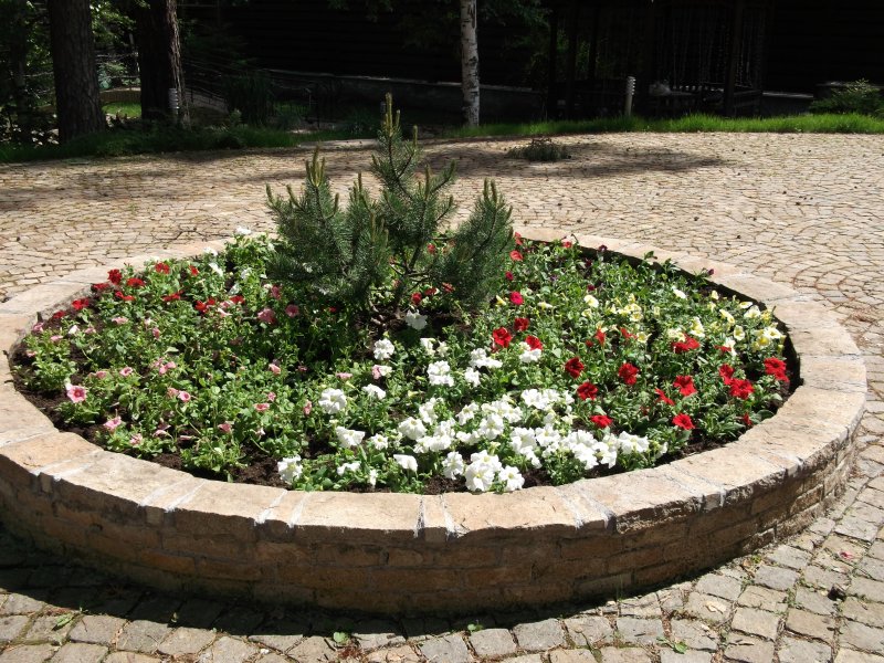 Круглая клумба с розами