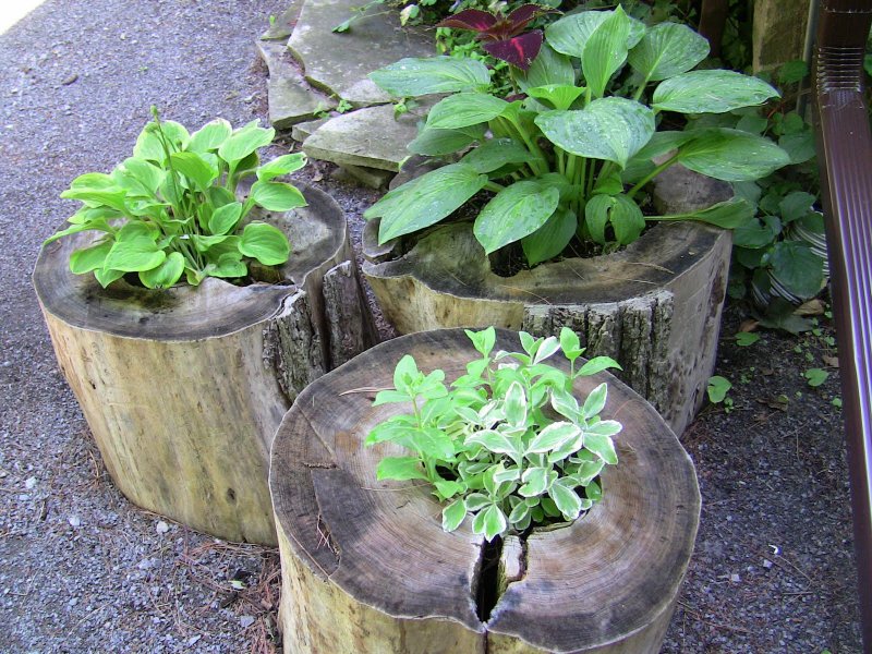 Tree Stump decoration ideas