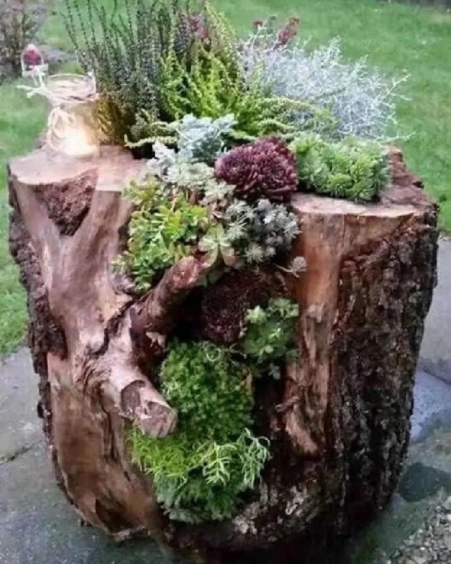 Украшение сада корягами