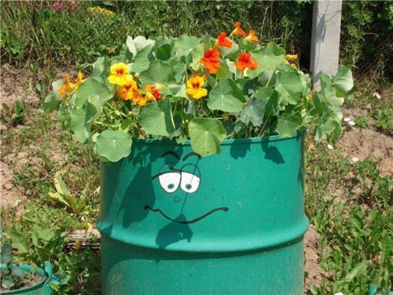Бочки в огороде