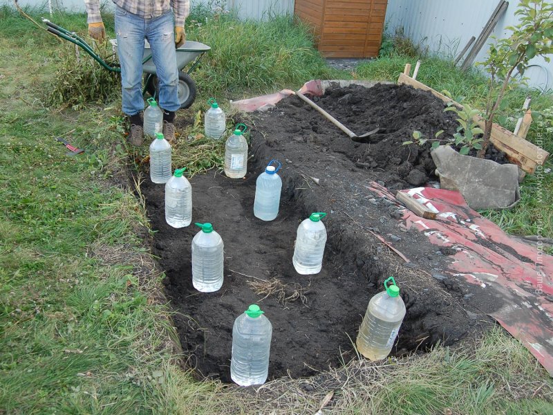 Грядки с пластиковыми бутылками