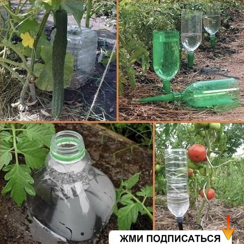 Бутылки в грядках для полива