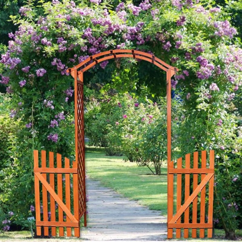 Climbing Rose Trellis