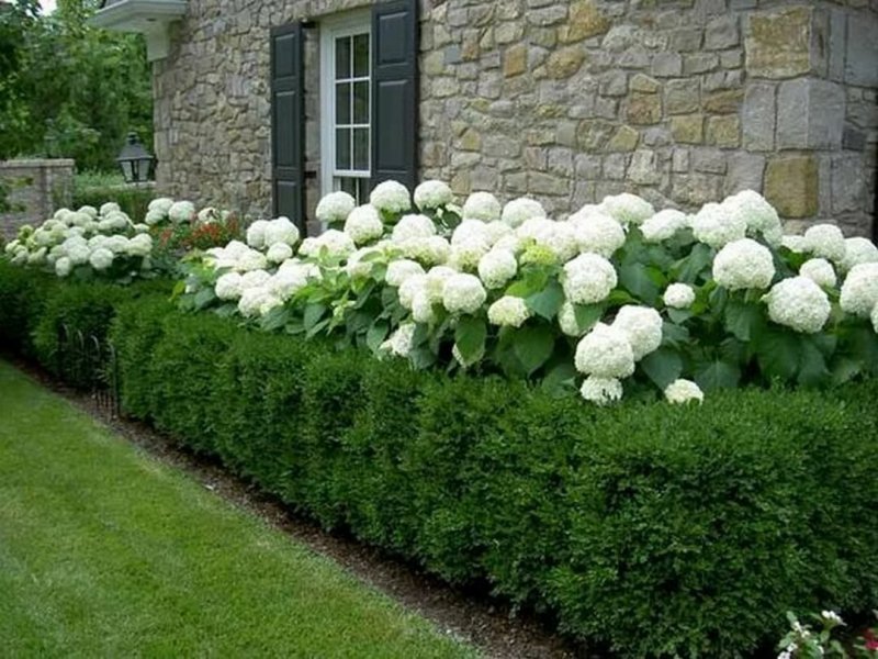 Green Decor Оренбург