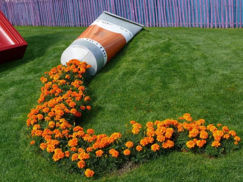 Клумбы на газоне
