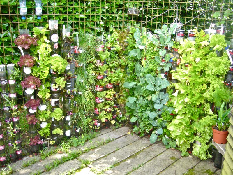 DIY Tower Garden ideas: how to make a Tower Garden