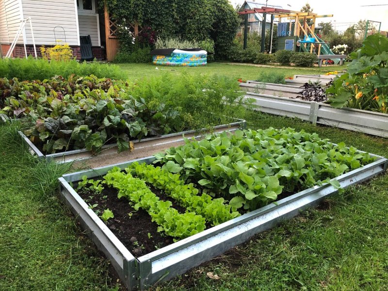 The Edible Garden огород в палисаднике