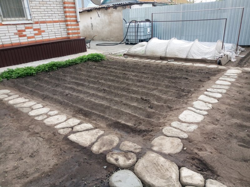 Дорожки в огороде