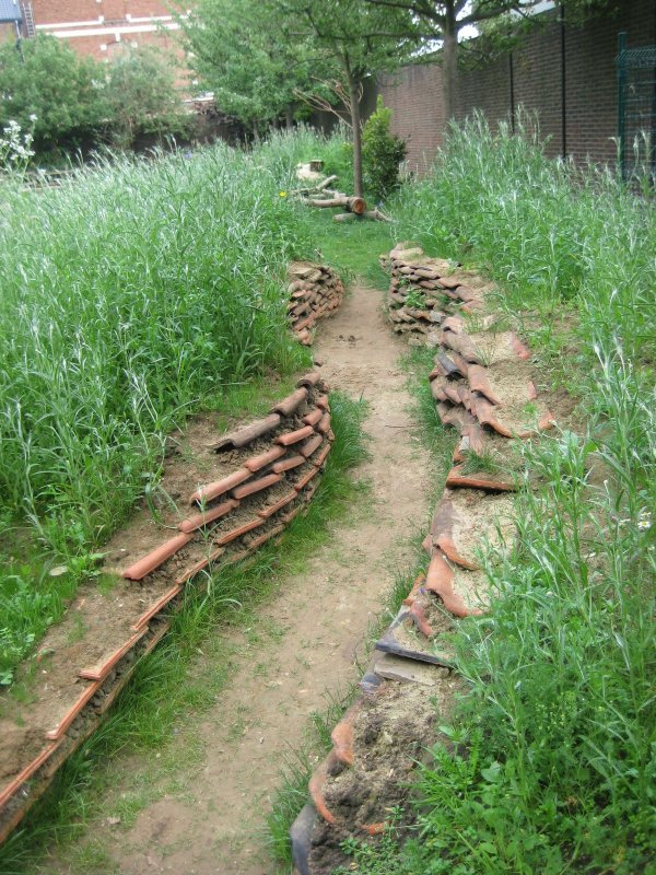 Мульча яичными лотками
