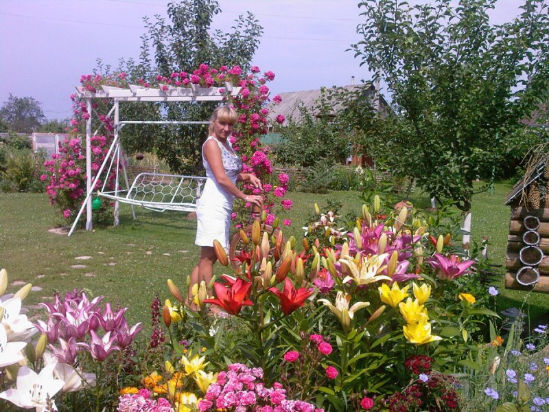 Цветочные клумбы с лилиями на даче своими руками