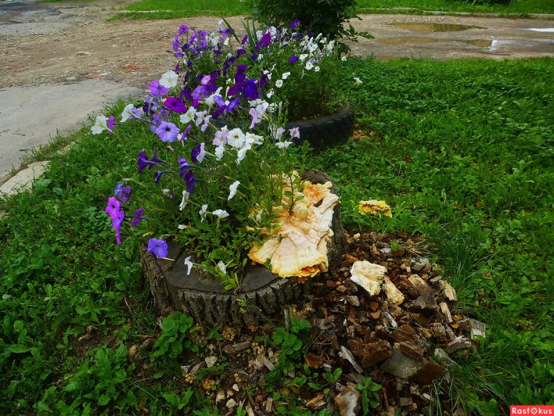 Оригинальные клумбы с пеньками и дворцами