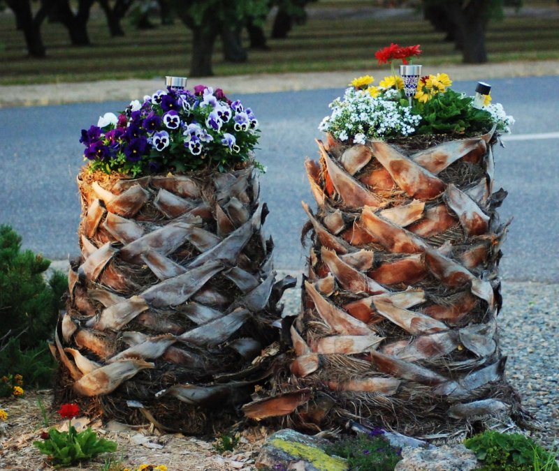 Клумбах из пня отдела но шишками