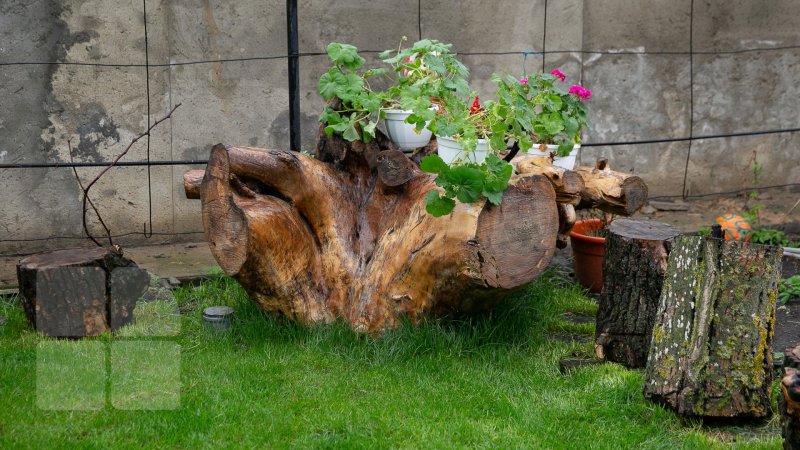 Ограждения из пней и коряг