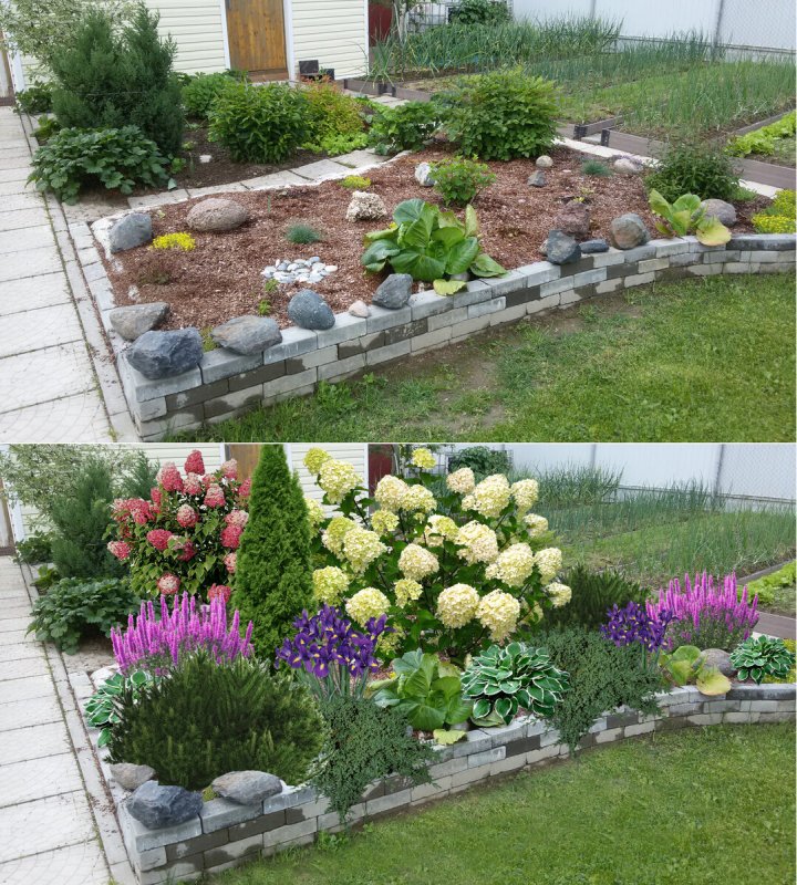Моноклумба клумба