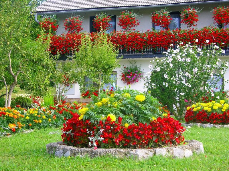 Multy Home бордюр садовый