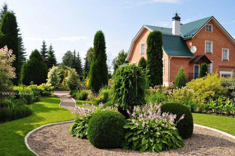 Самшит, гортензия, Барбарис, спирея