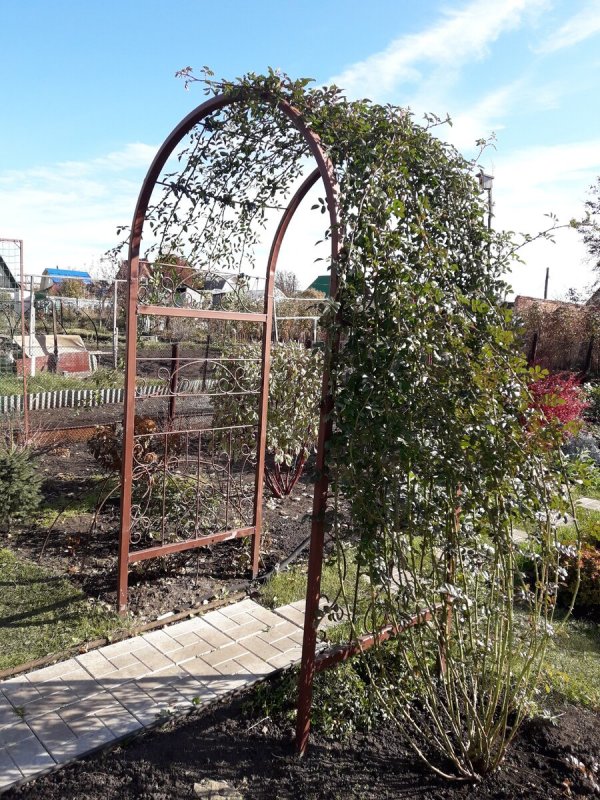 Пергола аркада