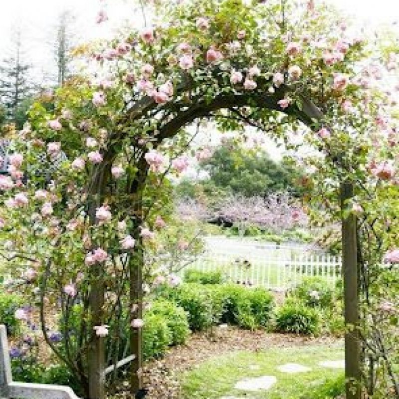 Arbour Fence