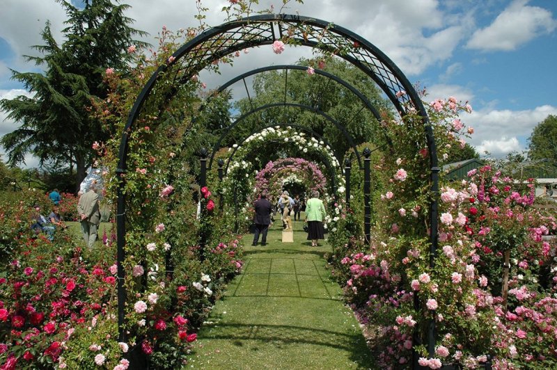 Planet Garden арка Садовая 495058