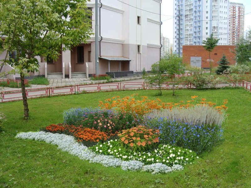 Фигурные клумбы