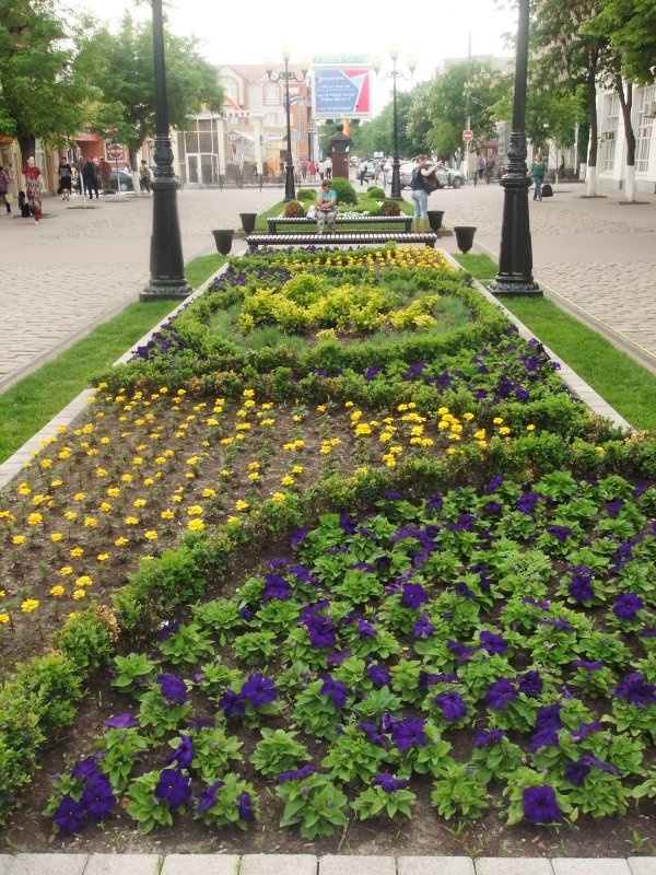 Прямоугольная клумба