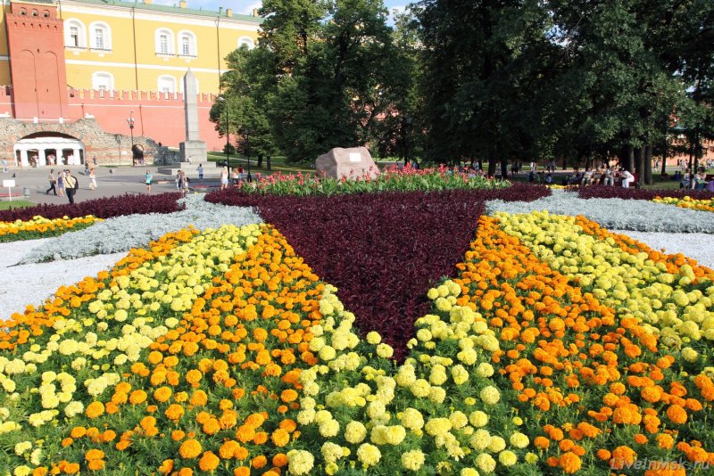 Александровский сад Сенатская площадь