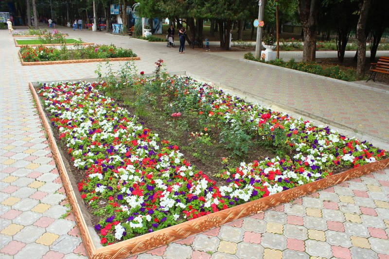 Воронецкий парк Симферополь цветники