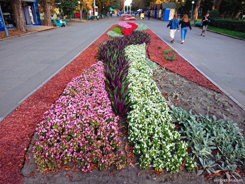 Центральная клумба в парке