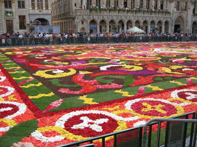 Фестиваль цветочный ковер floare Carpet Брюссель Бельгия