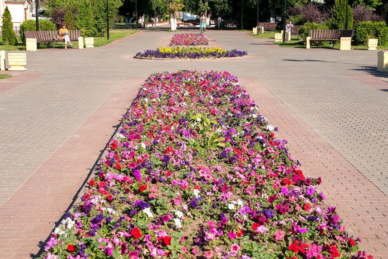 Городские клумбы