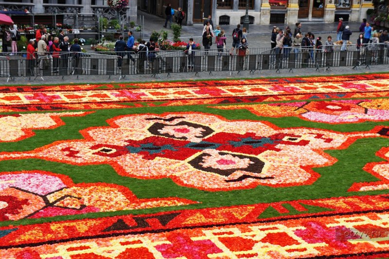 Фестиваль "цветочный ковер" (Flower Carpet), Брюссель, Бельгия.
