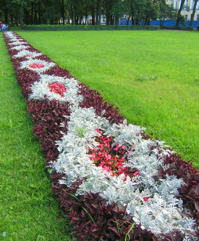 Самые красивые цветочные клумбы