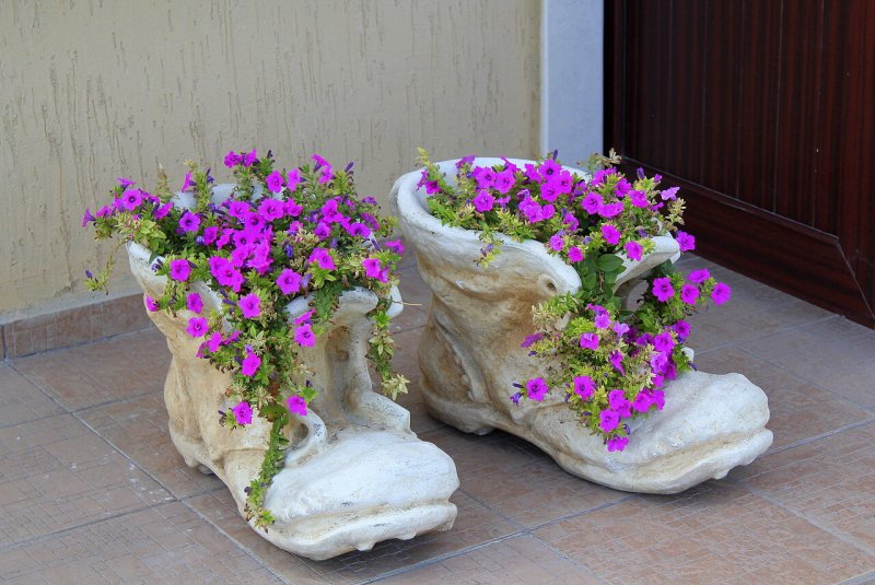 Уличные цветы для вазонов и кашпо