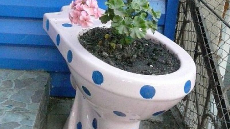 Поделки для дачного туалета