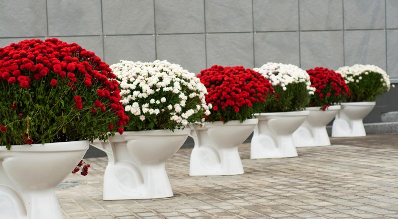Вазон из унитаза