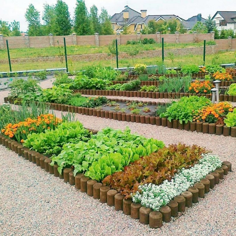 Красивый огород