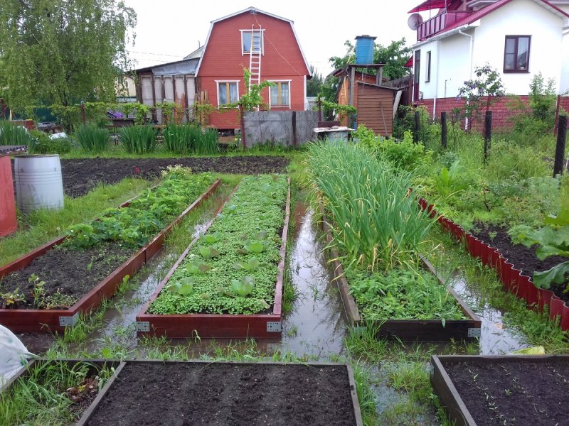Бордюры для грядок и клумб бетонные
